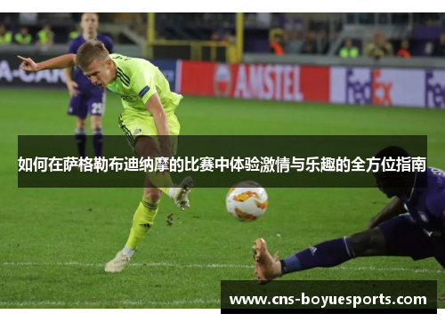 如何在萨格勒布迪纳摩的比赛中体验激情与乐趣的全方位指南